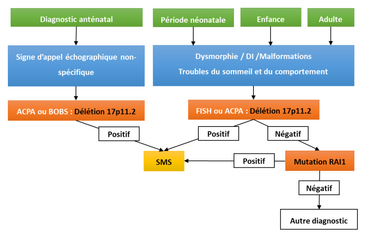 Arbre décisionnel de diagnostic